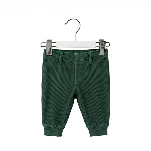 Green corduroy pants on a hanger against a white background