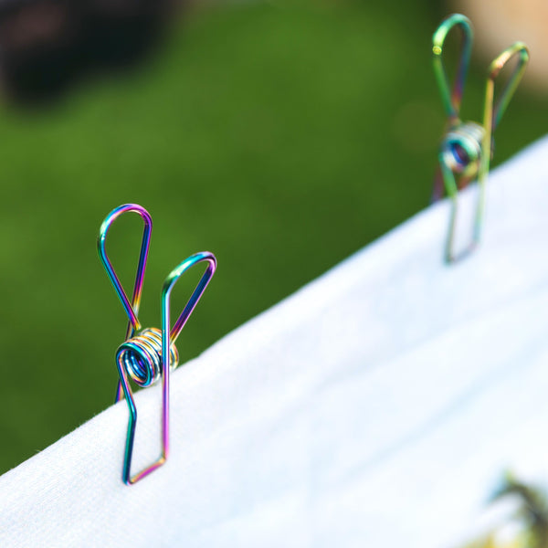 Large Size Stainless Steel Clothes Pegs Rainbow Colour Sold in 30/60